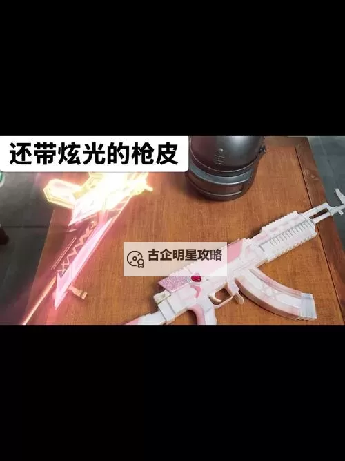 《阿廖欣的枪》修改器使用方法说明 修改器怎么用图1