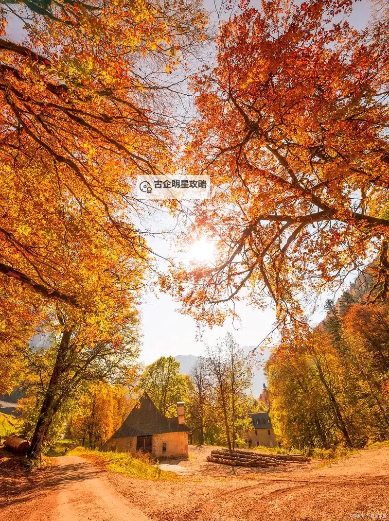 《大当家之路》能人攻略:能人养成系统详解!图1