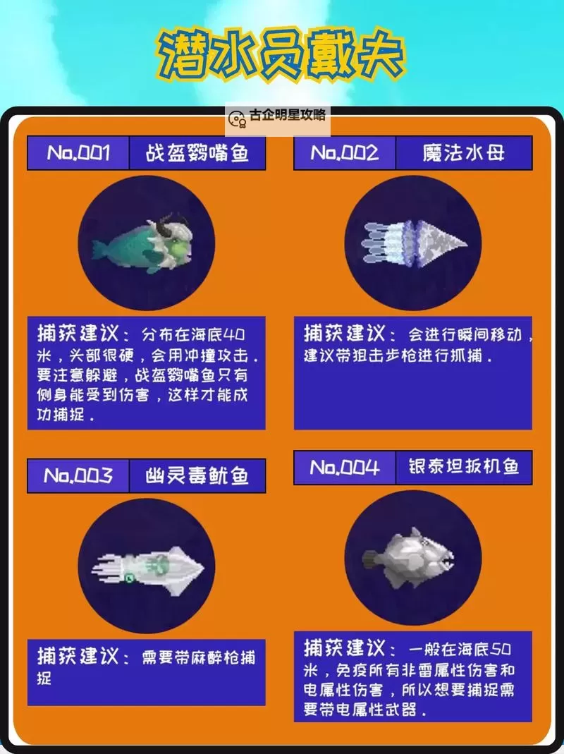 《潜水员戴夫》章鲨版本新增生物一览 新增夜潜鱼类整理图1