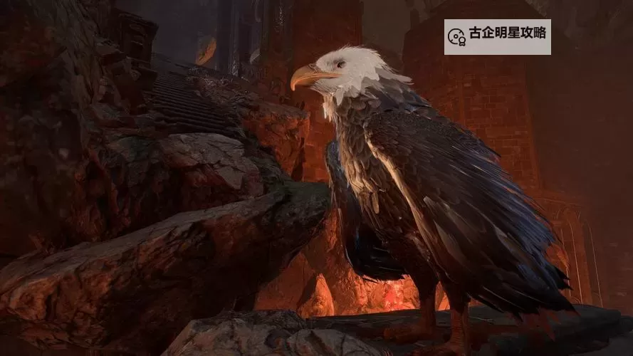 《博德之门3》德鲁伊高爆发BD推荐图1