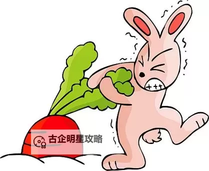 《温馨合作追缘记：拔萝卜动漫中的团结力量》图1