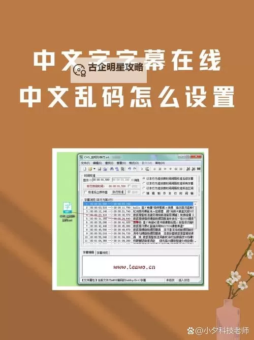 中文字幕导入乱码解决方法全攻略图1