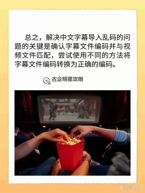 中文字幕导入乱码解决方法全攻略图2