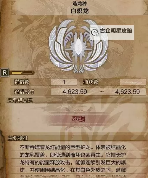 《怪物猎人荒野》逃课白炽龙片手配装分享图1