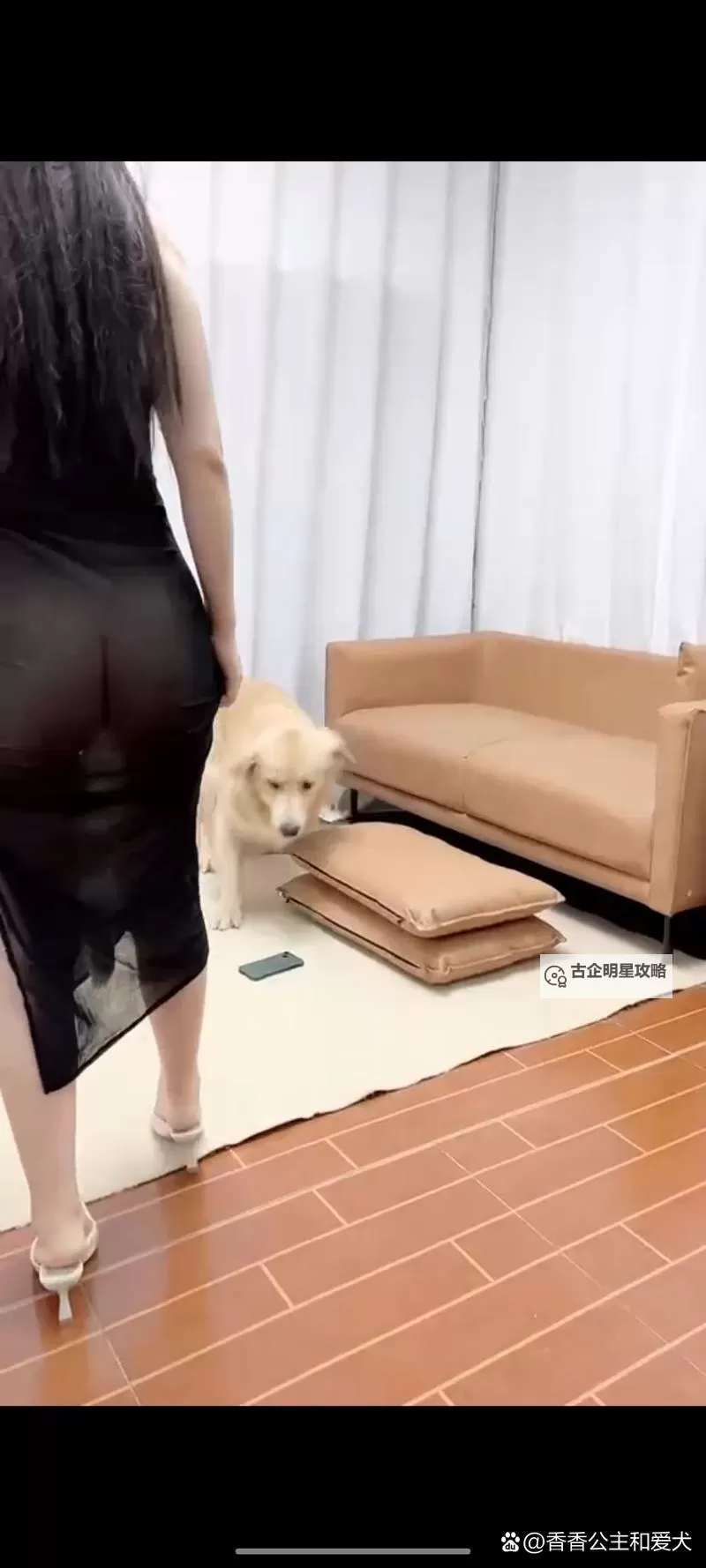 【最新资源分享】香香公主与爱犬六部曲在线观看全集免费在线观看图1