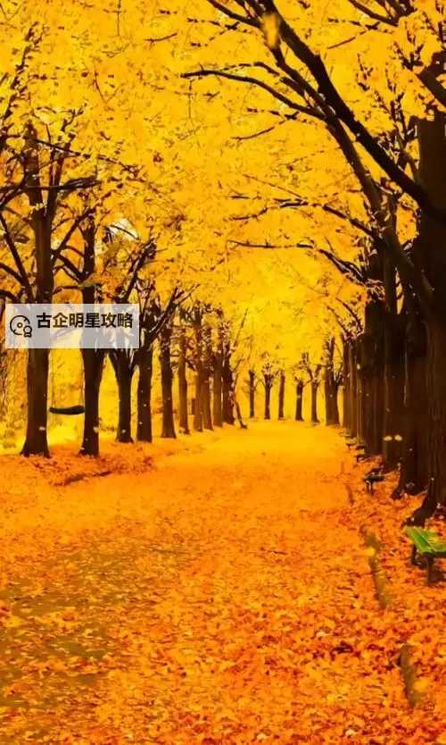 《勇者斗恶龙英雄2》小金币获得方法及兑换道具一览 小金币怎么获得图2