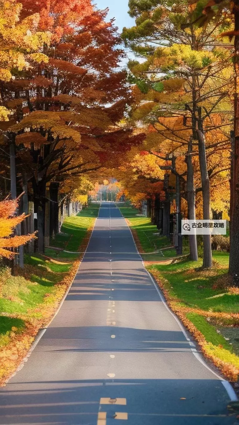 《勇者斗恶龙英雄2》小金币获得方法及兑换道具一览 小金币怎么获得图1