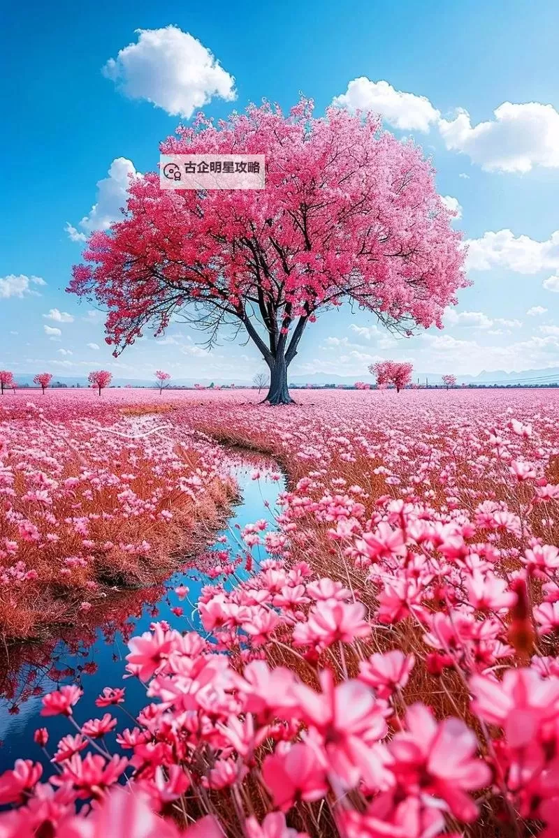 《潜行者2切尔诺贝利之心》恶性竞争支线任务攻略图1