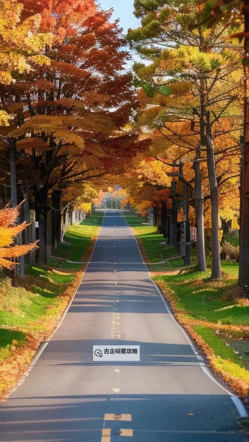 《勇者斗恶龙英雄2》小金币获得方法及兑换道具一览 小金币怎么获得图1