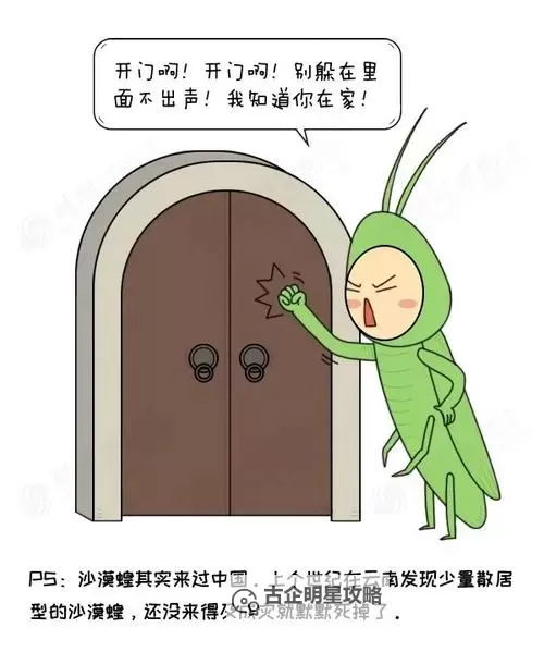 中国会阻止人口黑化吗：未来政策走向与挑战分析图1