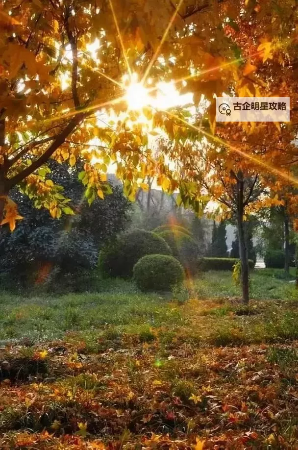 《勇者斗恶龙英雄2》小金币获得方法及兑换道具一览 小金币怎么获得图2