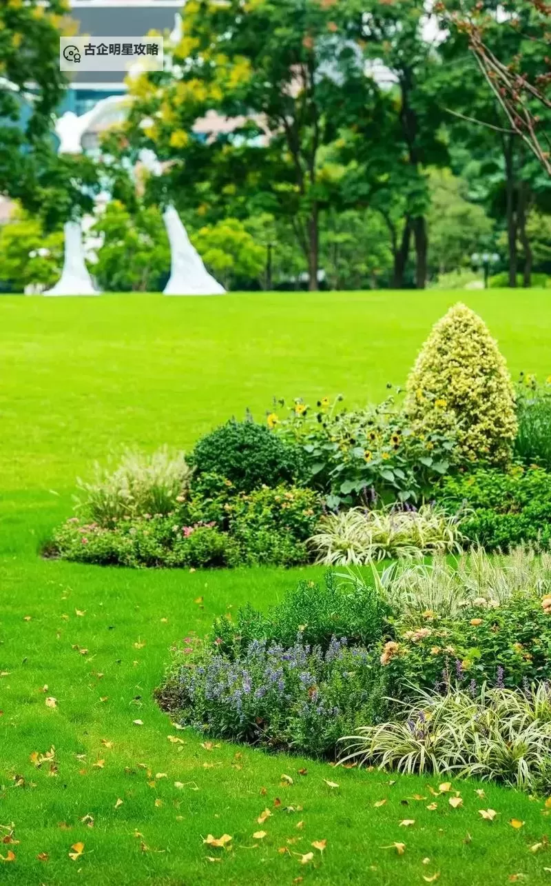 《潜行者2切尔诺贝利之心》恶性竞争支线任务攻略图2