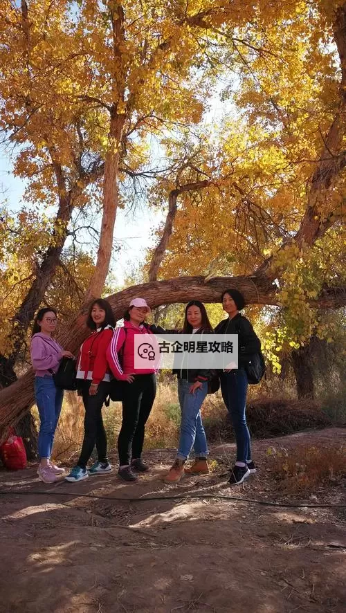 御剑情缘醉酒的老龙奇遇任务怎么过？   醉酒的老龙奇遇任务流程攻略详解图1