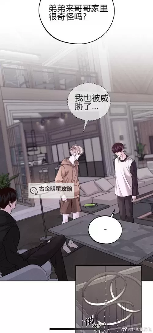 羞于四屋免费：城市孤灯下的温情逃离图1