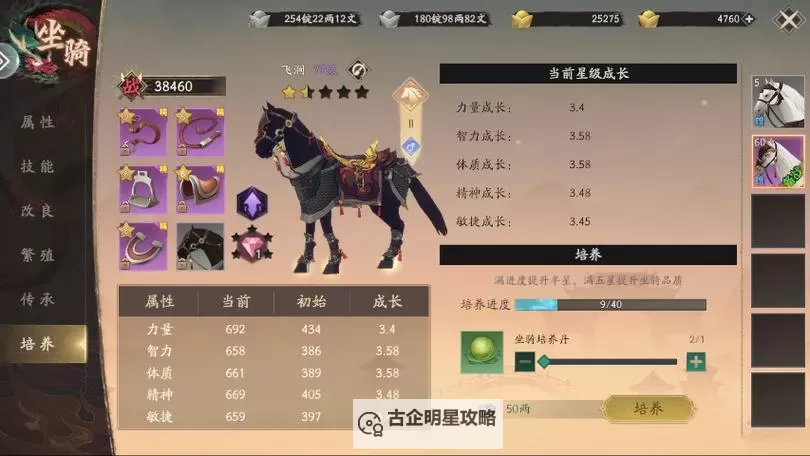 《全战纪》坐骑系统详解  全战纪坐骑系统养成攻略图1