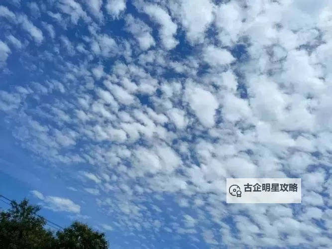 可以，以下是几个包含“超pen免费视频”的非成人向创意标题示例：- 超pen免费视频：笔触在光影之间的自由叙事- 超pen免费视频：影像与文字的边界旅行- 超pen免费视频：从静默到声色的创作笔记- 超pen免费视频：一个关于笔与屏幕的诗性世界- 超pen免费视频：把时间剪成诗的影像日记- 超pen免费视频：镜头背后的梦境与现实- 超pen免费视频：在纸与屏幕之间寻找自由如果你有特定的风格（唯美、硬核、朦胧等）或受众，请告诉我，我再为你定制。图1