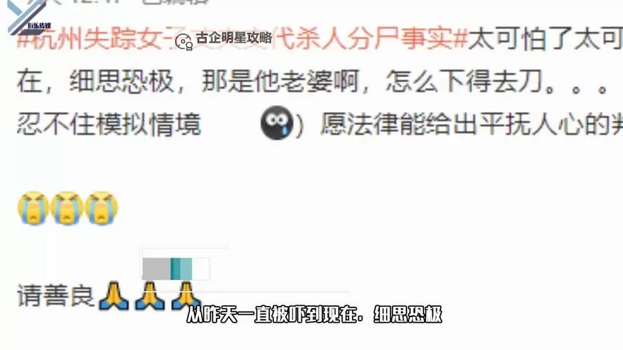 郑爽就杭州女子失踪案发声:夜色中的舆论风暴与未解之谜(虚构)图1