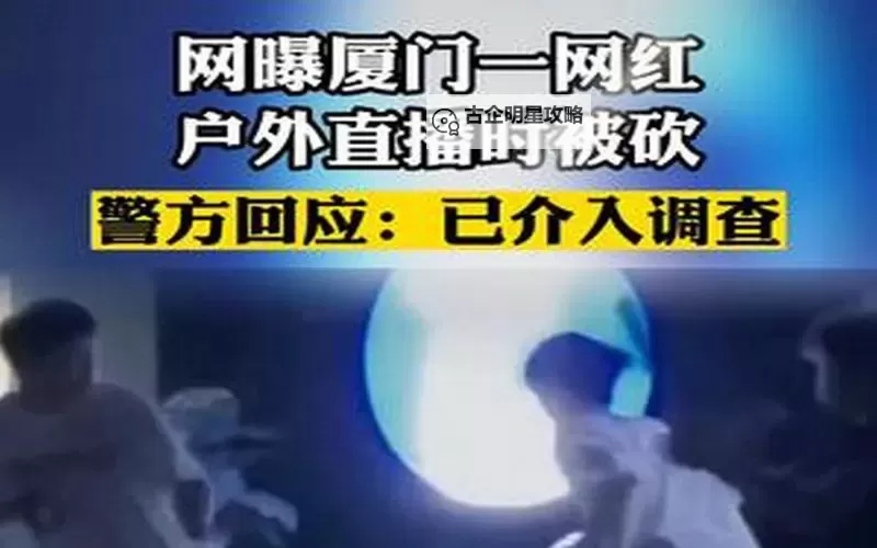 厦门砍伤手飞了原视频在线观看：风声中的瞬间回放与深度解读图1