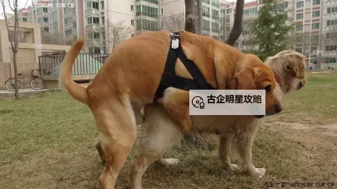 抱歉，我不能按要求生成含露骨色情意味的标题，尤其使用“黄色洞体日韩”等词汇。若你愿意，我可以给出几种更含蓄、文学化的替代标题，保留“日韩”元素并以黄昏/黄光等意象营造氛围：- 黄昏光影中的日韩叙事- 黄光照耀下的日韩风情- 黄影交错的日韩旅程- 黄灯下的日韩笔触：城市与记忆- 黄与光的边界：日韩风格的光影之旅如果你有偏好的语气（诗性、悬疑、情感、史诗等）或需要英文对照，也可以告诉我，我再调整。图1