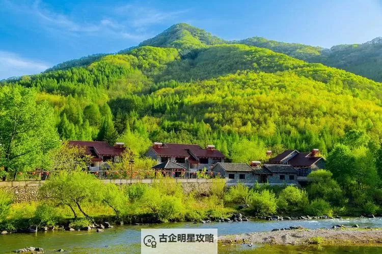 星空天美免费视频观看：夜幕中的浩瀚星河与梦境旅程图1