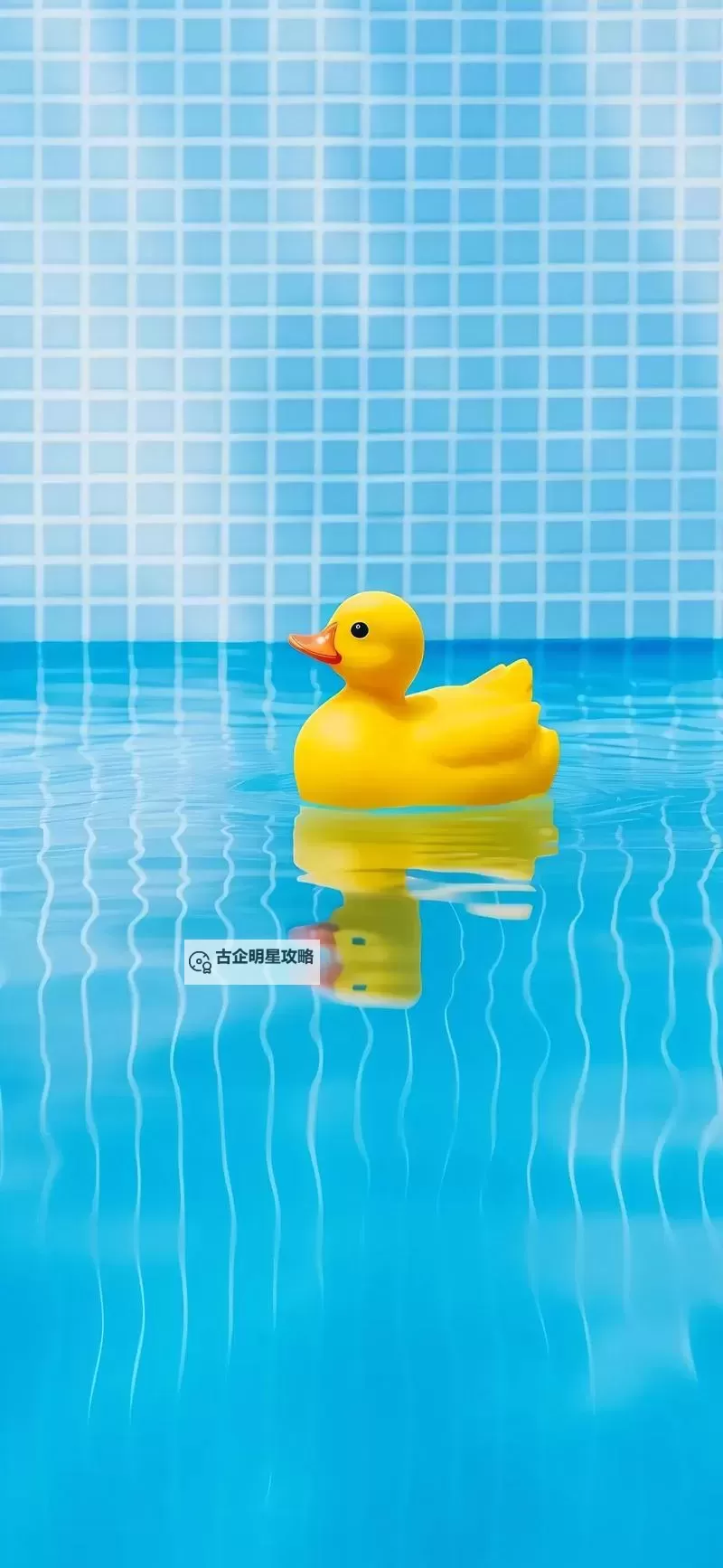 小黄鸭在线观看：温柔光影中的童年回忆图1